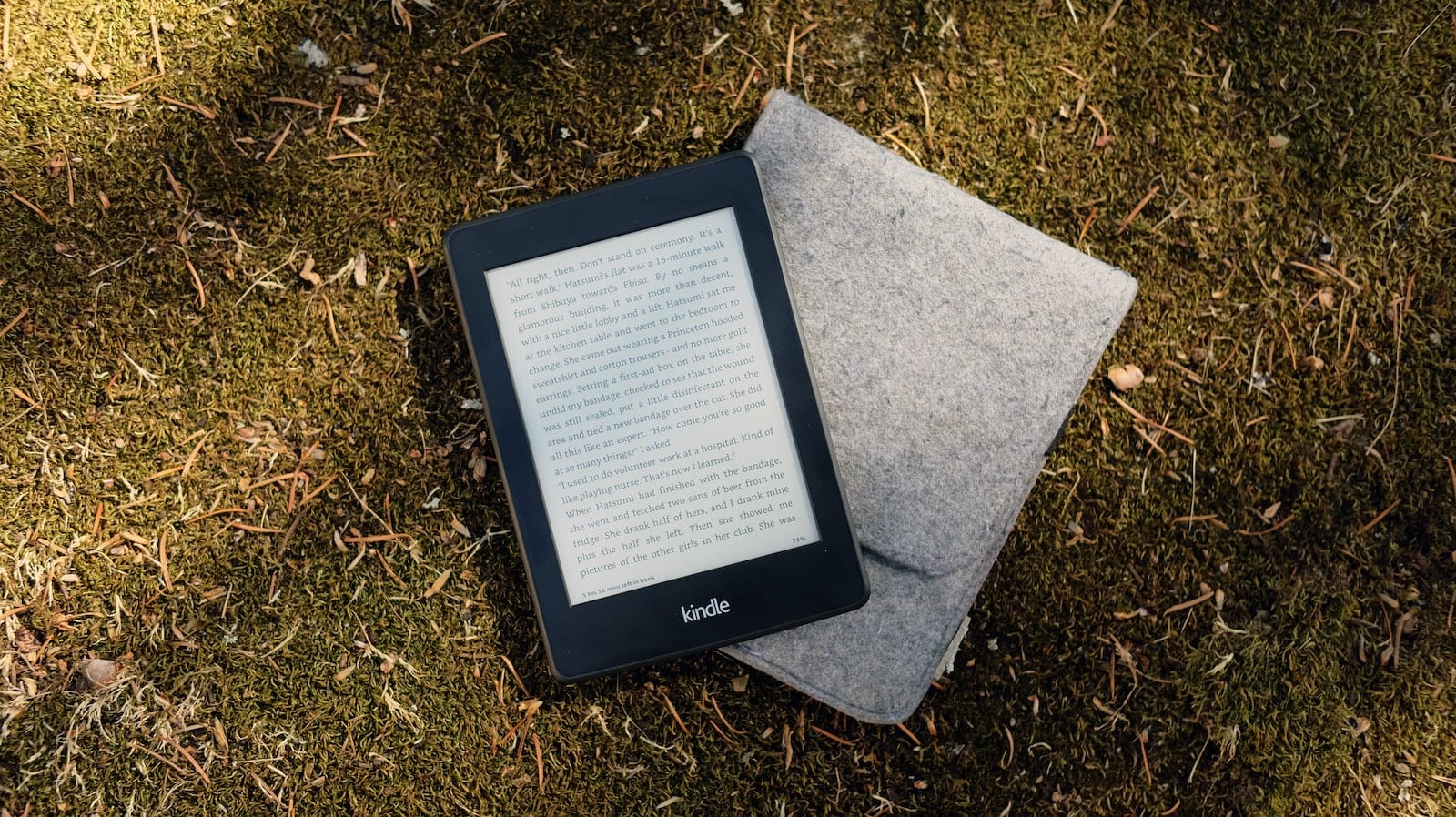 How the  Kindle Works